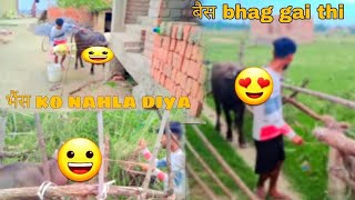 बैस Ko Nahala Diya 😄  Vlogs 108 😜 [upl. by Tnomyar]