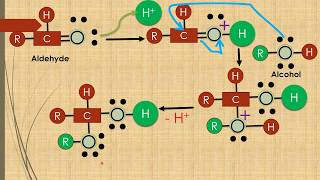 Hemiacetals formation Animation Alcohol  Aldehyde [upl. by Rramal489]