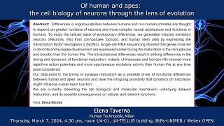 BtBs Seminar by Elena Taverna quotOf human and apes the cell biology of neuronsquot [upl. by Anica]