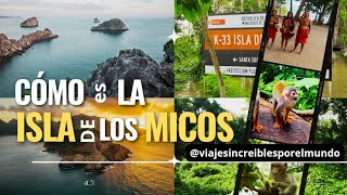 descubre la isla de los Micos [upl. by Aicenev756]