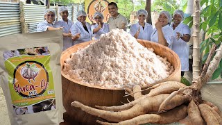 ✅️Cómo hacer HARINA DE YUCA en casa para arepas tortillas y panes SIN GLUTEN♥️ [upl. by Ynobe]