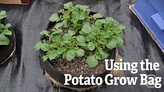 How to Use a Potato Grow Bag  Gardeners Supply [upl. by Anirtac140]