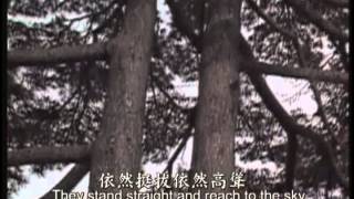 The Canaan Hymns  Chinese Version [upl. by Aidul]