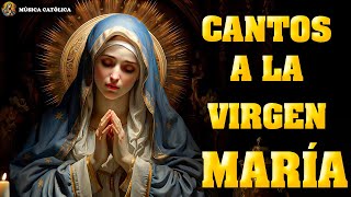 CANTOS A LA VIRGEN MARÍA PARA PEDIR UN MILAGRO🙏 Música para el Alma Católica [upl. by Letnom]