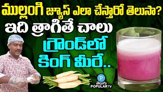 Top Health benefits of Radish Juice Making  Radish Juice Preparation  Telugu Popular TV [upl. by Leund525]