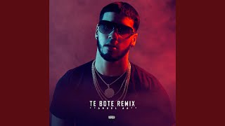 Te Bote Remix [upl. by Schnell]