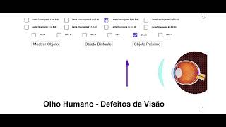 Simulador de de Olho Humano Defeitos da Visão [upl. by Ellehcar]