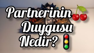 Partnerinin Durduğu Yer Neresidir🍒Zamansız Okuma Bir Deste Seç🌟 [upl. by Attiuqal232]