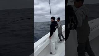 Nice kingfish tournament fishing rodandreel fish [upl. by Anade800]