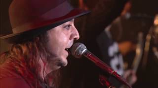 Daron Malakian live in Armenia 2015 best moments [upl. by Bax]