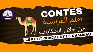 Profitez des Contes Français pour Améliorer Vos Compétences Linguistiques 🌟📚 [upl. by Naawaj993]