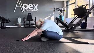 Exercise Demo  Sitting Forward Fold Stretch [upl. by Tlihcox]