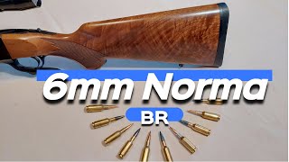 Video  9  6mm Norma BR [upl. by Shae]