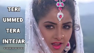 Teri Ummed Tera Intezaar 💘 Romantic Song Vidya Bharti 💕 Love Hindi Song TandanJiS4U [upl. by Essined]