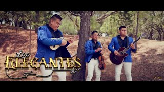 Quise Trio Los Elegantes Video Oficial [upl. by Faux]