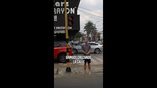 latinos vs gringos  Cruzando la calle [upl. by Bueschel]