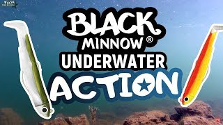 Fiiish black minnow UNDERWATER ACTION with all head number from  1 2 3  Как се води силикон [upl. by Cooperman]