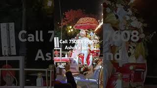 Best wedding band baggi baraat in Chandigarh by Ashoka Band  shaadiseason sikhwedding [upl. by Darda]