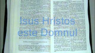 23  1  IOAN  Noul Testament  Biblia Audio Romana [upl. by Cottrell]