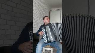 La Noyee  Yann Tiersen shorts music accordion [upl. by Brockie]