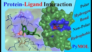 Analysing ProteinLigand Interactions  Tutorial [upl. by Yeung]