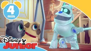 Valpevenner  Den nye robothunden  Disney Junior Norge [upl. by Eidac46]