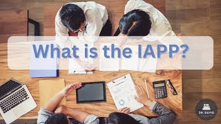 What is the IAPP  CIPM Certification [upl. by Aicilana306]