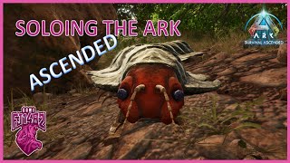 Taming Archaeopteryx and Arthropleura Soloing ARK Ascended Ep 52 [upl. by Budding]