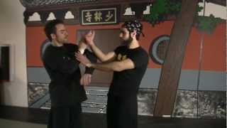 Wing Chun Chi Sao Bong SaoWu Sao Lap Sao Taan Da Combo [upl. by Ansilme]