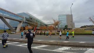 Fukuoka Marathon 2023 [upl. by Garihc]