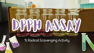 DPPH assay  Radical scavenging activity   Calculation and procedure for beginner [upl. by Annabella920]