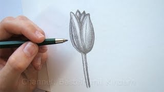 Zeichnen lernen Blume zeichnen  Tulpe malen lernen mit Bleistift  Einfache Blüte [upl. by Shanahan]