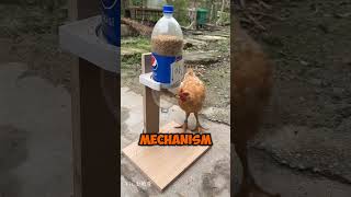 Amazing Chicken feeder machines 😱 [upl. by Howland]