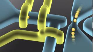 Silicon Singleelectron Transfer and Detection Device [upl. by Labina681]