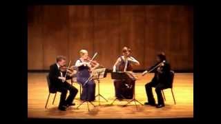 Shostakovich String Quartet No 9 performed by the Ars Nova String Quartet [upl. by Noyahs]