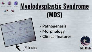 Myelodysplastic Syndrome  MDS  Pathology [upl. by Coady]