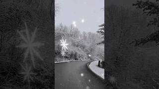 Beautiful New Snow In West Virginia [upl. by Eluj12]