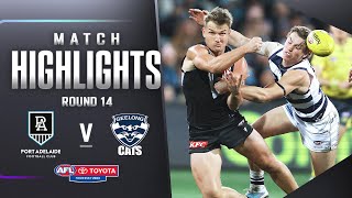 Port Adelaide v Geelong Cats Highlights  Round 14 2023  AFL [upl. by Aubarta]