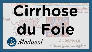 🔴 LEXPLICATION LA PLUS CLAIRE DE LA CIRRHOSE [upl. by Goddard]