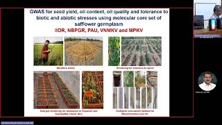 Guest Lecture  Status of MarkerAssisted Selection in Niche Oilseeds Crops of India [upl. by Llehcram485]