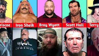 Last Photo of WWE Wrestlers Before They Died [upl. by Alyam]