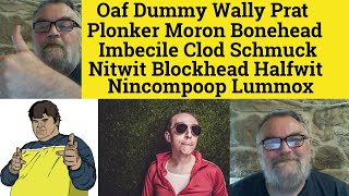 🔵Vivid Nouns Idiot  Oaf Dummy Wally Prat Plonker Moron Imbecile Clod Nitwit Halfwit Lummox Meaning [upl. by Pang]