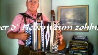 Pretuler Polka Steirische Harmonika [upl. by Corbett]