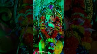 Aamchya papani ganpati aanala short video clip copy song [upl. by Burman]