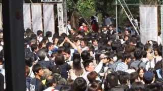 20130310 東大 入試合格発表 その１ [upl. by Ninetta505]