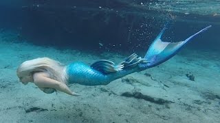 Bills Amazing Swim With A Mermaid [upl. by Angadreme]