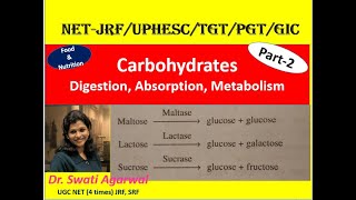 Carbohydrates Digestion Absorption Metabolism Part2 Food amp Nutrition Home Science NETJRF TGT PGT [upl. by Allwein]