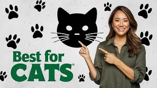 2024s TOP 5 Cat Food Trends You Wont Believe [upl. by Nnitsuj82]