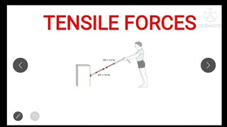 TENSILE FORCES  BIOMECHANICS  HINDI 116 [upl. by Ezechiel]