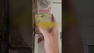 Gasoline Safe Removing Wasps From🤯🤯😱💯 sortsfactsviralshort [upl. by Larina]